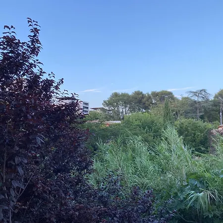 Lägenhet Le Clos De Verdure Montpellier